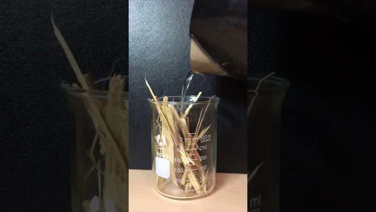 Cellulose fiber from wood