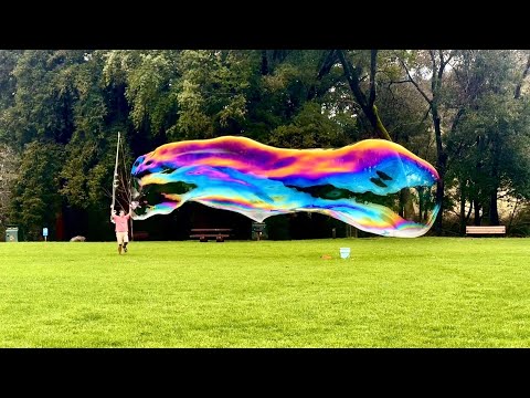 Some of the Largest Hypergiant Bubbles Ever Seen in a Field