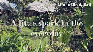 【Vlog】バリ島観光といえば穴場のSebatu沐浴とManaは外せない。#ねこのいる暮らし #海外生活 #バリ#ウブド