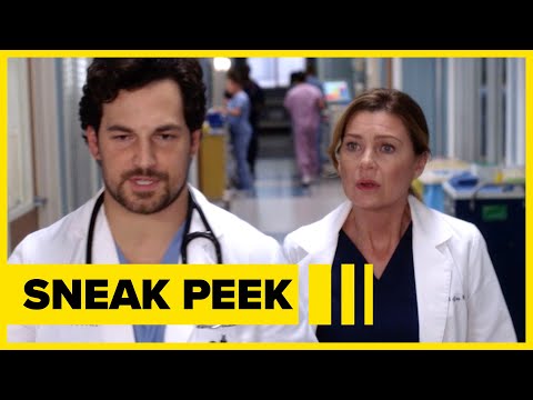 Grey's Anatomy 16x15 Sneak Peek: Meredith and DeLuca Argue Again During the Blizzard