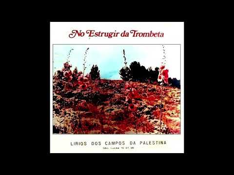 Quebrei A Imagem Da Minha Parede - Ereni Miranda