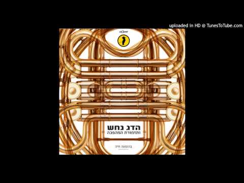 הדג נחש ותזמורת המהפכה - הכאפה המצלצלת