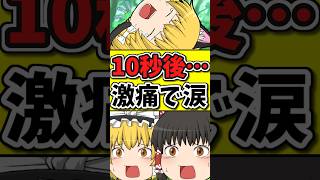 10秒後･･･「痛みで猫が泣いてる！？」その原因とは･･･？ #shorts #博麗霊夢 #ゆっくり茶番劇