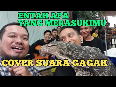entah-apa-yang-merasukimu-cover-suara-gagak-aja