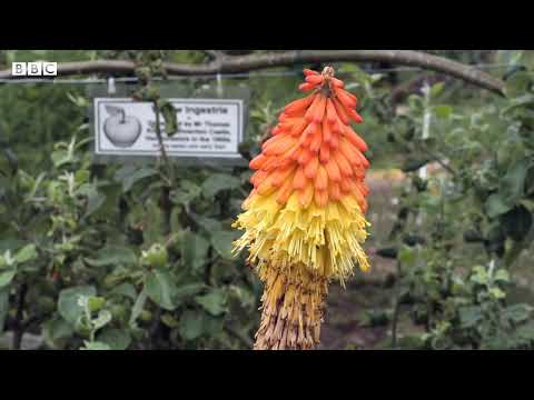 Guy's Cliffe gardeners look to unearth new volunteers