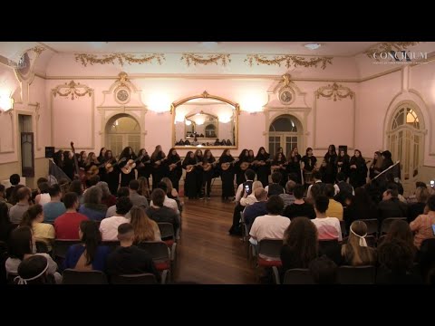 XX Concilium (Noite de Serenatas) - C'a Tuna aos Saltos