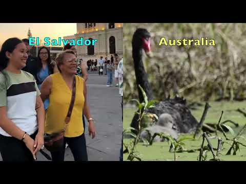 Guatemaltecos Visitan El Salvador y LLoran de Alegria #elsalvador