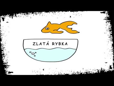 MATTA P - ZLATÁ RYBKA (prod. HXDRO)