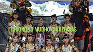 Download lagu Turonggo Mudho Cindelaras babak 1 live in tebing breksi mp3