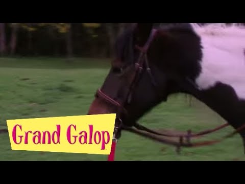 Grand Galop 122 - Le Journal intime de Lisa | HD | Épisode Complet