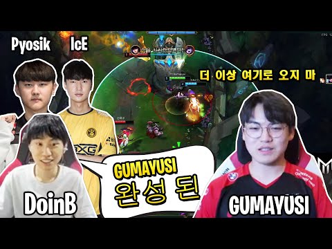 구마유시 vs 도인비 | T1 Gumayusi VS LNG DoinB & DRX Pyosik