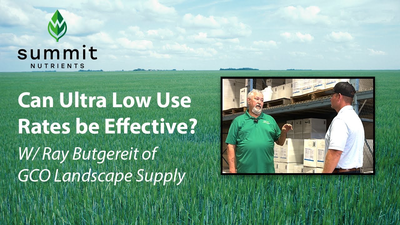 Rooted Podcast Episode 1