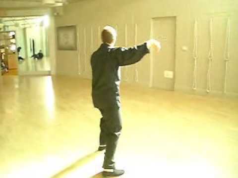 Chen Pan-Ling Taijiquan First Section
