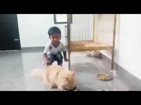 FAHMI WITH POOCHA | @fechufahmi