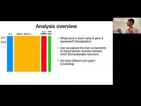 W31: Spatial Transcriptomics - Day 2