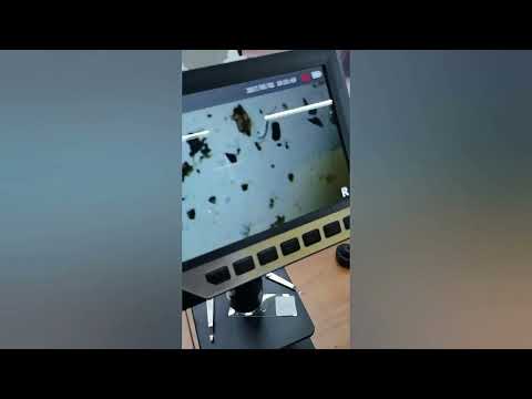 Biological Digital Microscope 2000x Video 7 inch