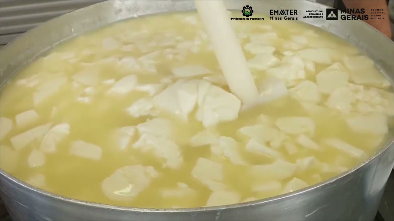 CURSO DE PRODUÇÃO DE QUEIJO MINAS FRESCAL