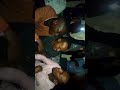 Cunga Amarima Bana Ba Data Murakabyara Mubyagije