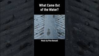 Download lagu What Came Out of the Water? mp3
