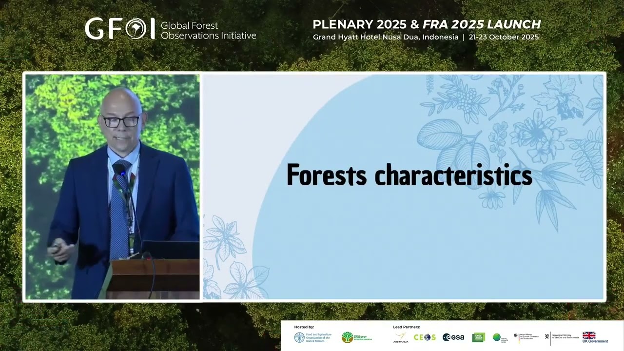 Global Forest Resources Assessment 2025: Key findings