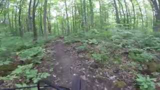 GoPro video of Agreement Forest and Currie Tract Trails.