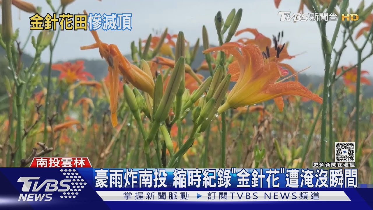 雲林縣長向賴清德喊話！農損3.2億　盼比照台南嘉義全品項補助