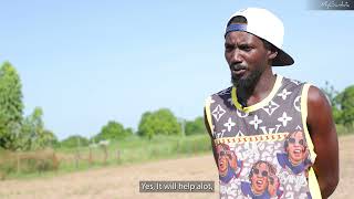 Cotton Farm in Kerewan Samba Sira, The Gambia | My Gambia