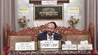 הרב אליהו פנחסי | כשרות משקאות חפרים | מוסאיוף (בית הכנסת מוסאיוף - ערוץ חדש) - התמונה מוצגת ישירות מתוך אתר האינטרנט יוטיוב. זכויות היוצרים בתמונה שייכות ליוצרה. קישור קרדיט למקור התוכן נמצא בתוך דף הסרטון