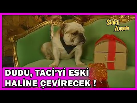 Dudu, Taci'yi Eski Haline Çevirecek! - Sihirli Annem 95.Bölüm