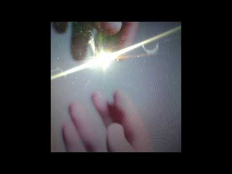 666GRAVES - ALL AROUND THE WORLD