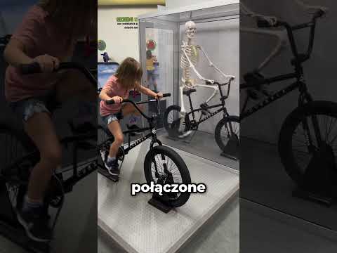 Jak Pracują Nasze Kości Na Rowerze?!🤯