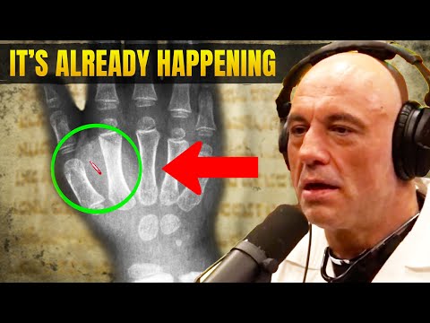 Joe Rogan READS Revelation and Is SHOCKED by End-Times Prophecy!