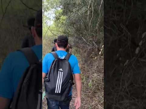 Serra da Passira 💚 800 metros de escalada no interior de Pernambuco