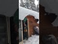First snow of the year #mccall