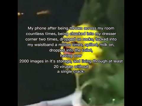 I'm a survivor 😍 I'm not gon give up 😤