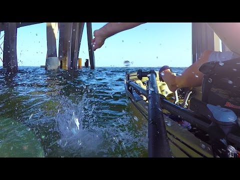 Lynnhaven Inlet Flounder Fishing Sept 2016
