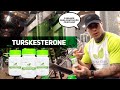 PRA QUE SERVE O TURKESTERONE? LÉO STRONDA EXPLICA COMO GANHAR MASSA SEM COLATERAIS