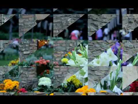 Oana Bozga Pintea - Un singur dor mai am și eu (PRICEASNĂ)