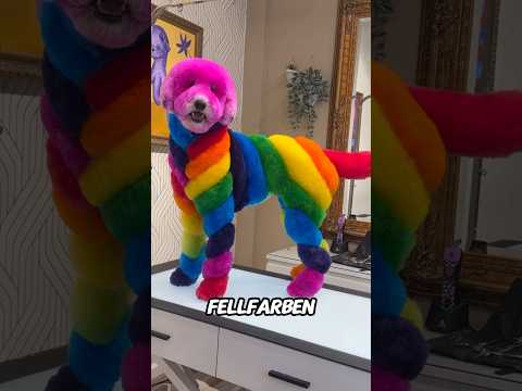 Die SELTENSTEN FELLFARBEN der WELT, und das letzte ist wie aus Photoshop!#tiere#farben