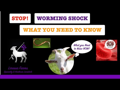 Worming Shock:  When Sheep and Goats Die From Worming!  Cause, Prevention, and Treatment!