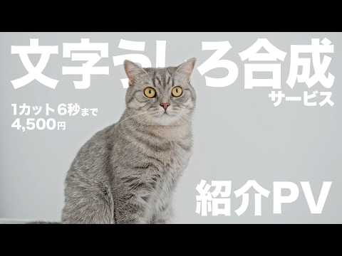 映像の人物のうしろに演出テロップを合成します イメージ1
