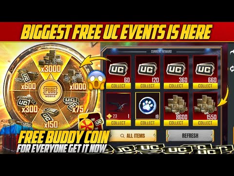 PASHTON YT and PASHTON 