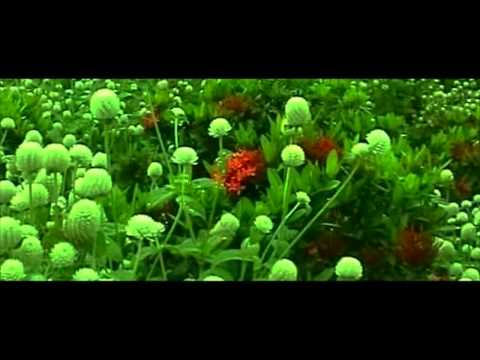 Aki Vasna Hot Oriya Songs lokdhun Oriya