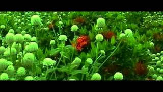 Aki Vasna Hot Oriya Songs lokdhun Oriya