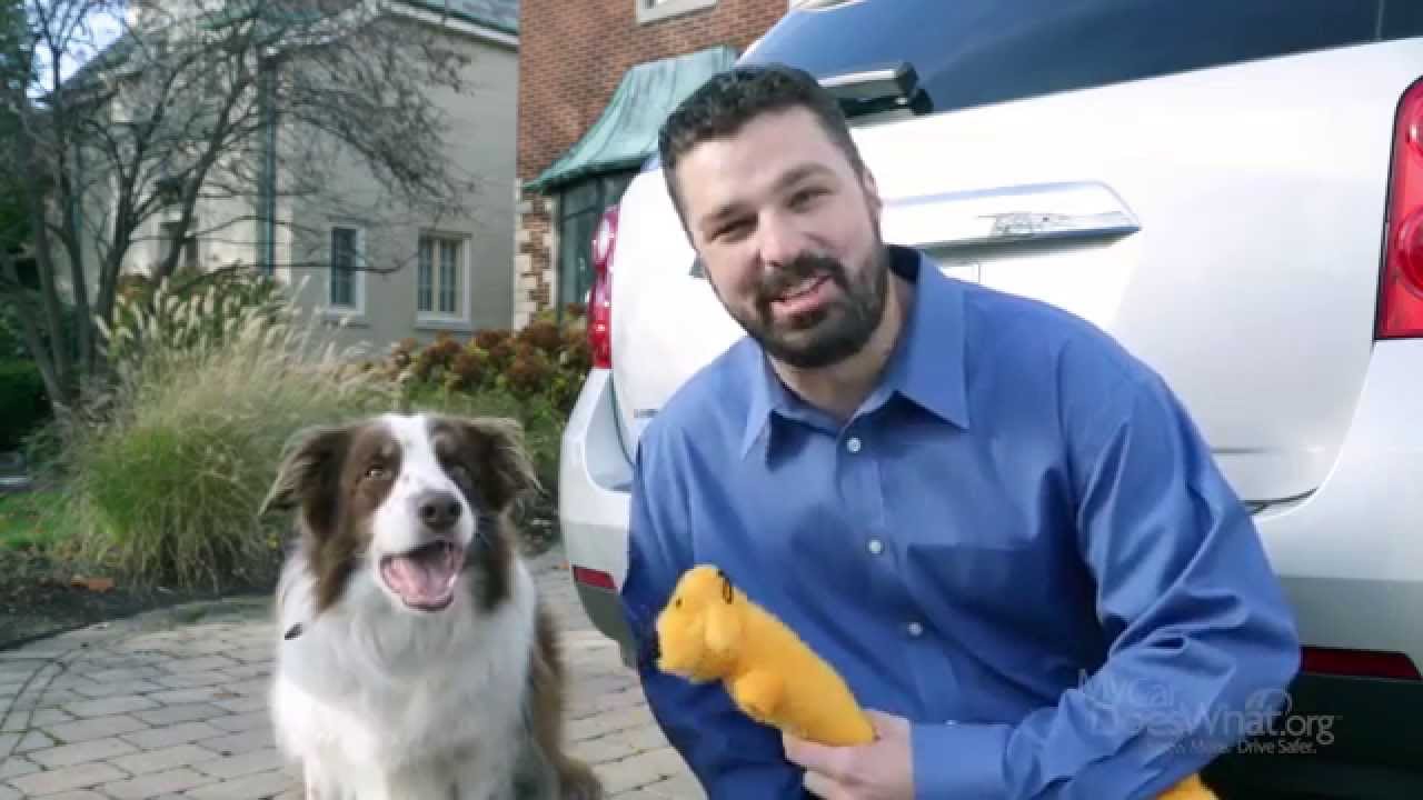 Back-up Camera and More - With Rick & Scout