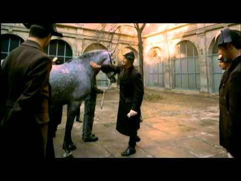 The Spanish Riding School of Vienna. Part 1/2.