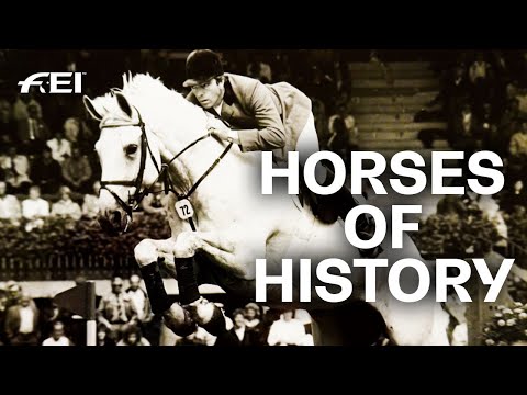 Horses of History - Milton | FEI ICONS