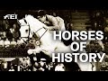 Horses of History - Milton | FEI ICONS