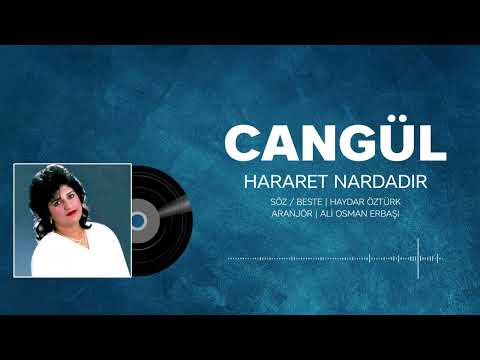 Video Yükleniyor...