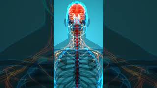 What does Tylenol actually do #shorts #short #shortvideo
